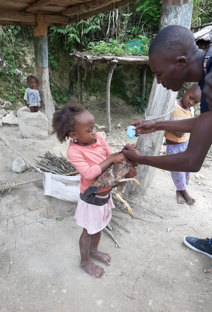 Les Amis des Enfants du Monde agissent en Haïti